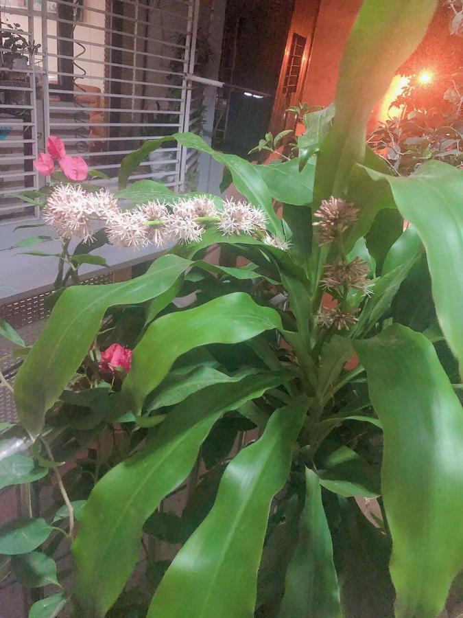 Li Homestay 134 Tran Binh, My Dinh, Nam Tu Liem, Ha Noi Hà Nội Ngoại thất bức ảnh
